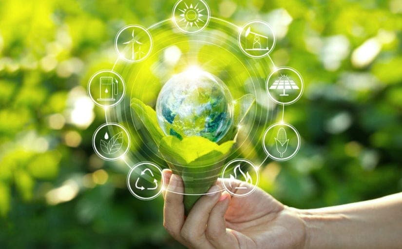 Profissionais a rever um relatório de sustentabilidade empresarial
